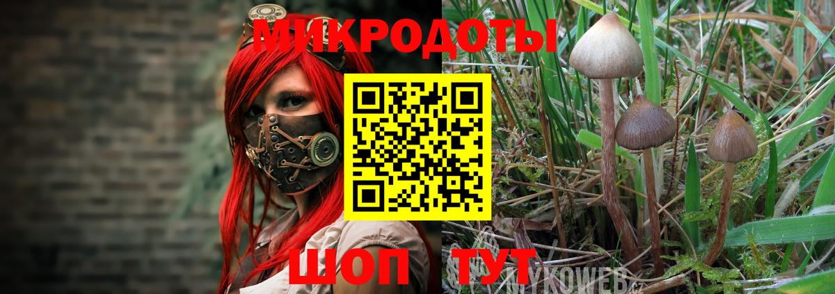 Галлюциногенные грибы мицелий Донской
