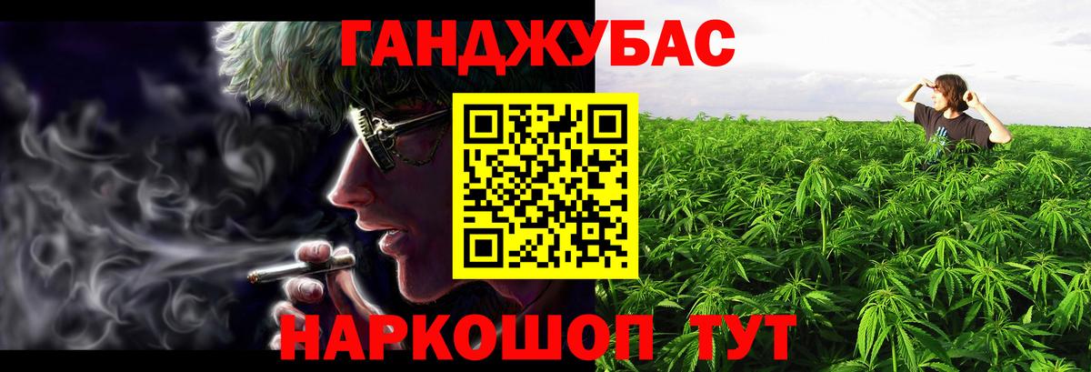 Каннабис AK-47  Канабис план  Канабис сатива  Донской  Вход с VPN 